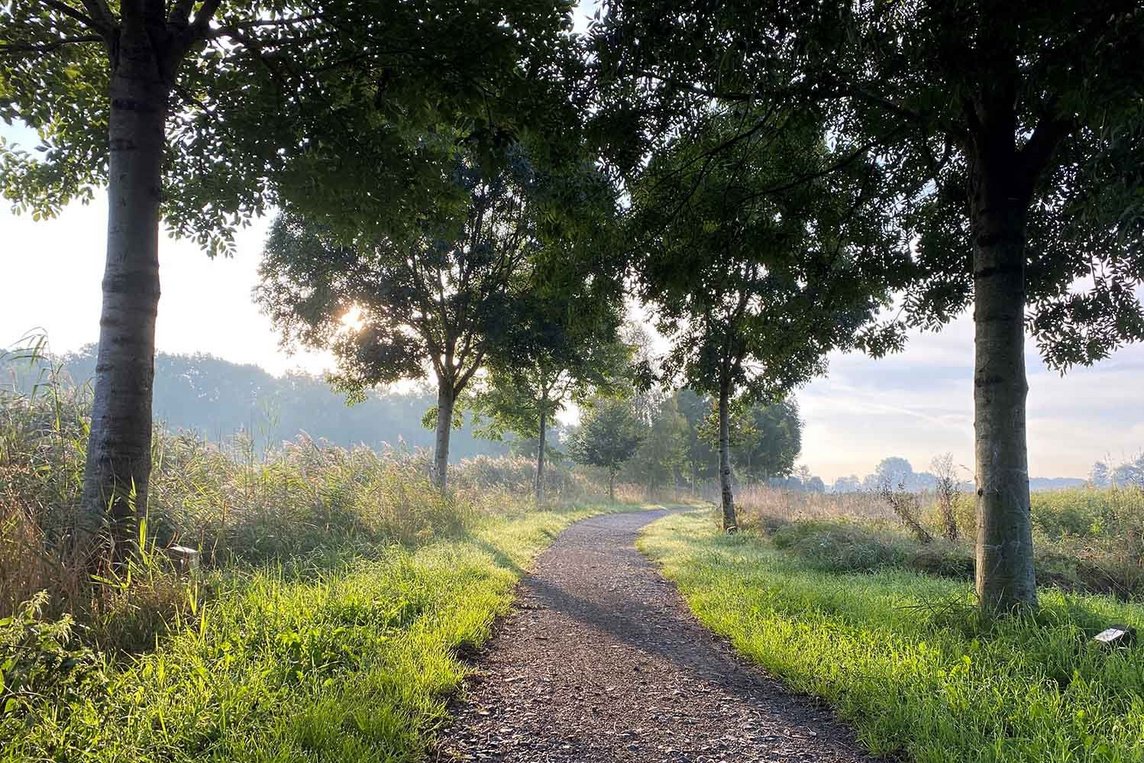 Dieses Foto zeigt die Hochzeitsbaum-Allee in Hausdülmen. 